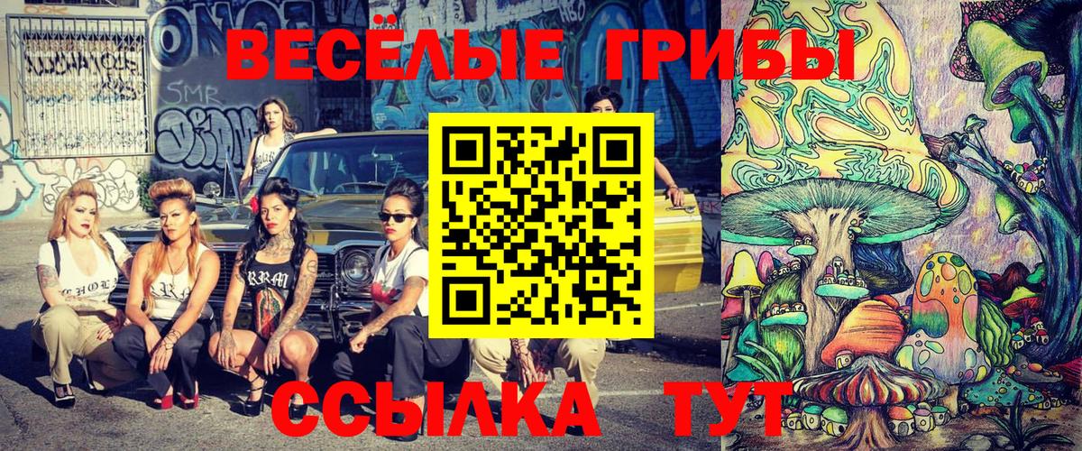 Киселёвск  Псилоцибиновые грибы Magic Shrooms  Псилоцибиновые грибы MAGIC MUSHROOMS  купить закладку  Вход с VPN 