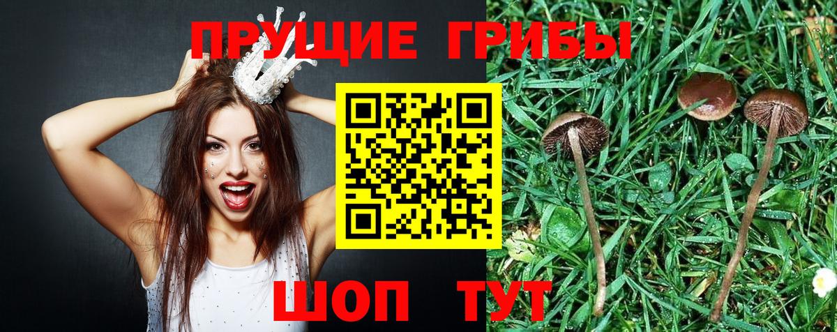 Каннабис  Cocaine  МЕФ кристаллы  Киселёвск  Вход с VPN  Гашиш 
